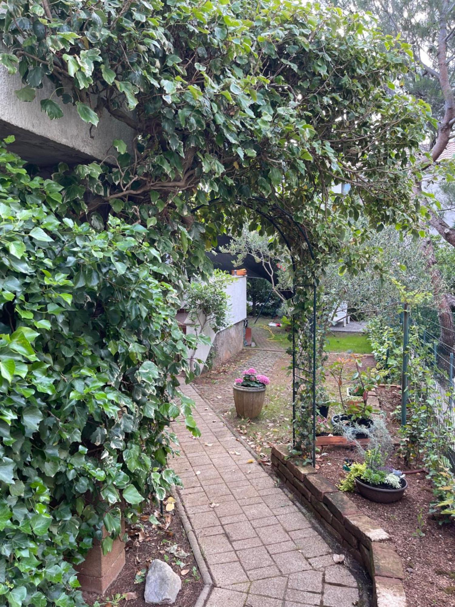 Laura Apartment Punat
